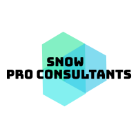 SNow Pro Consultants, Inc.
